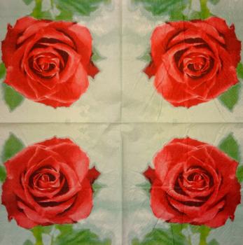 029 Rosen - 3-lagig (blau)
